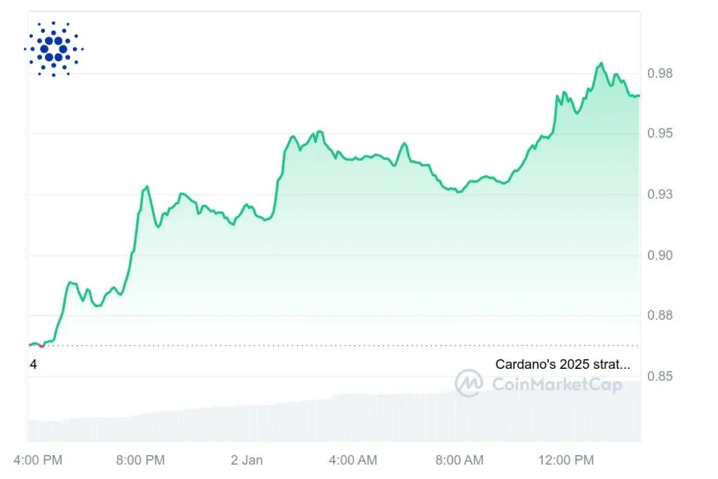 Cardano 020125